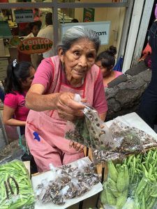 Buying live Jumiles in the mercado Taxco, Mexico
